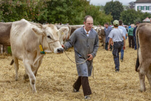 Appenzell, Appenzell Ausserrohden, Ostschweiz, Schweiz, Stein, Suisse, Switzerland, Viehschau