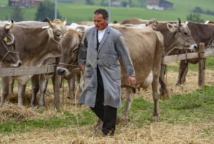 Appenzell, Appenzell Ausserrohden, Ostschweiz, Schweiz, Stein, Suisse, Switzerland, Viehschau