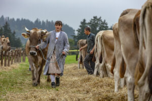 Appenzell, Appenzell Ausserrohden, Ostschweiz, Schweiz, Stein, Suisse, Switzerland, Viehschau