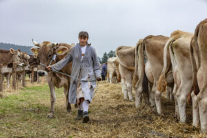 Appenzell, Appenzell Ausserrohden, Ostschweiz, Schweiz, Stein, Suisse, Switzerland, Viehschau