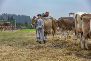 Appenzell, Appenzell Ausserrohden, Ostschweiz, Schweiz, Stein, Suisse, Switzerland, Viehschau
