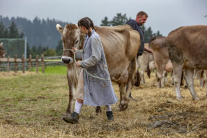 Appenzell, Appenzell Ausserrohden, Ostschweiz, Schweiz, Stein, Suisse, Switzerland, Viehschau