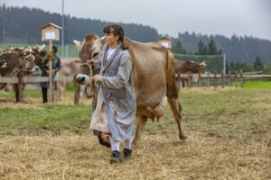 Appenzell, Appenzell Ausserrohden, Ostschweiz, Schweiz, Stein, Suisse, Switzerland, Viehschau