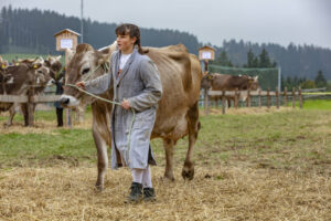Appenzell, Appenzell Ausserrohden, Ostschweiz, Schweiz, Stein, Suisse, Switzerland, Viehschau