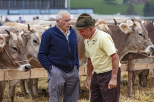 Appenzell, Appenzell Ausserrohden, Ostschweiz, Schweiz, Stein, Suisse, Switzerland, Viehschau