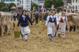 Appenzell, Appenzell Ausserrohden, Ostschweiz, Schweiz, Stein, Suisse, Switzerland, Viehschau