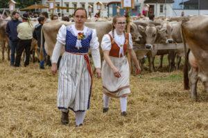 Appenzell, Appenzell Ausserrohden, Ostschweiz, Schweiz, Stein, Suisse, Switzerland, Viehschau
