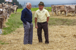 Appenzell, Appenzell Ausserrohden, Ostschweiz, Schweiz, Stein, Suisse, Switzerland, Viehschau