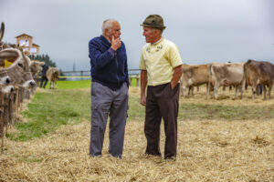 Appenzell, Appenzell Ausserrohden, Ostschweiz, Schweiz, Stein, Suisse, Switzerland, Viehschau