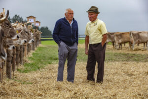 Appenzell, Appenzell Ausserrohden, Ostschweiz, Schweiz, Stein, Suisse, Switzerland, Viehschau
