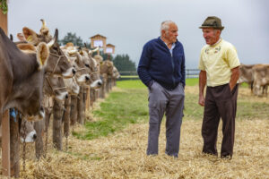 Appenzell, Appenzell Ausserrohden, Ostschweiz, Schweiz, Stein, Suisse, Switzerland, Viehschau