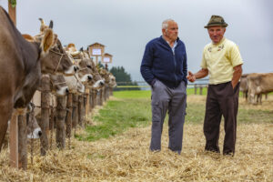 Appenzell, Appenzell Ausserrohden, Ostschweiz, Schweiz, Stein, Suisse, Switzerland, Viehschau