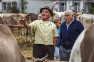Appenzell, Appenzell Ausserrohden, Ostschweiz, Schweiz, Stein, Suisse, Switzerland, Viehschau