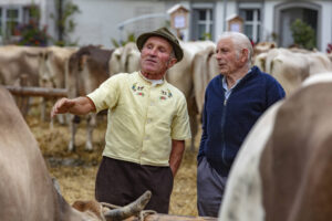 Appenzell, Appenzell Ausserrohden, Ostschweiz, Schweiz, Stein, Suisse, Switzerland, Viehschau