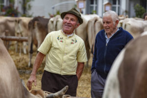 Appenzell, Appenzell Ausserrohden, Ostschweiz, Schweiz, Stein, Suisse, Switzerland, Viehschau