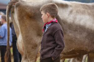 Appenzell, Appenzell Ausserrohden, Ostschweiz, Schweiz, Stein, Suisse, Switzerland, Viehschau