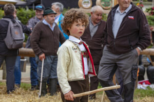 Appenzell, Appenzell Ausserrohden, Ostschweiz, Schweiz, Stein, Suisse, Switzerland, Viehschau