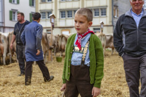 Appenzell, Appenzell Ausserrohden, Ostschweiz, Schweiz, Stein, Suisse, Switzerland, Viehschau