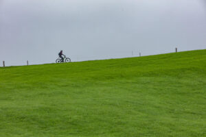 Appenzell, Appenzell Ausserrohden, Ostschweiz, Schweiz, Stein, Suisse, Switzerland, Viehschau