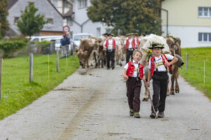 Appenzell, Appenzell Ausserrohden, Ostschweiz, Schweiz, Stein, Suisse, Switzerland, Viehschau