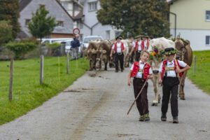 Appenzell, Appenzell Ausserrohden, Ostschweiz, Schweiz, Stein, Suisse, Switzerland, Viehschau