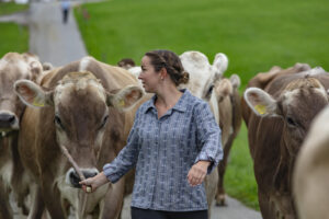 Appenzell, Appenzell Ausserrohden, Ostschweiz, Schweiz, Stein, Suisse, Switzerland, Viehschau
