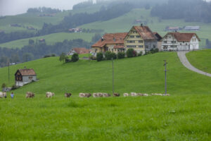 Appenzell, Appenzell Ausserrohden, Ostschweiz, Schweiz, Stein, Suisse, Switzerland, Viehschau
