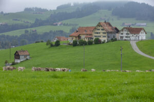 Appenzell, Appenzell Ausserrohden, Ostschweiz, Schweiz, Stein, Suisse, Switzerland, Viehschau