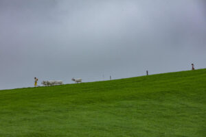 Appenzell, Appenzell Ausserrohden, Ostschweiz, Schweiz, Stein, Suisse, Switzerland, Viehschau
