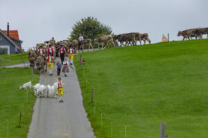 Appenzell, Appenzell Ausserrohden, Ostschweiz, Schweiz, Stein, Suisse, Switzerland, Viehschau
