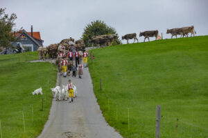 Appenzell, Appenzell Ausserrohden, Ostschweiz, Schweiz, Stein, Suisse, Switzerland, Viehschau