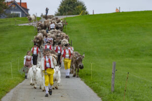 Appenzell, Appenzell Ausserrohden, Ostschweiz, Schweiz, Stein, Suisse, Switzerland, Viehschau
