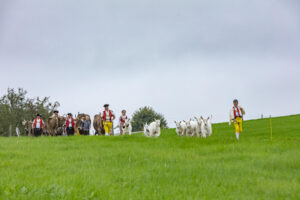 Appenzell, Appenzell Ausserrohden, Ostschweiz, Schweiz, Stein, Suisse, Switzerland, Viehschau