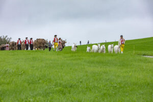 Appenzell, Appenzell Ausserrohden, Ostschweiz, Schweiz, Stein, Suisse, Switzerland, Viehschau