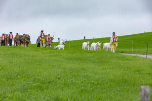 Appenzell, Appenzell Ausserrohden, Ostschweiz, Schweiz, Stein, Suisse, Switzerland, Viehschau