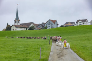 Appenzell, Appenzell Ausserrohden, Ostschweiz, Schweiz, Stein, Suisse, Switzerland, Viehschau