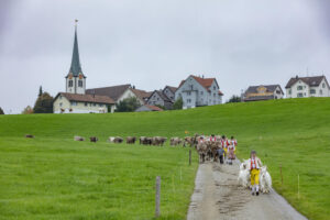 Appenzell, Appenzell Ausserrohden, Ostschweiz, Schweiz, Stein, Suisse, Switzerland, Viehschau