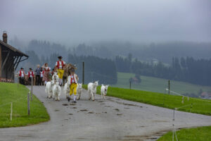 Appenzell, Appenzell Ausserrohden, Ostschweiz, Schweiz, Stein, Suisse, Switzerland, Viehschau