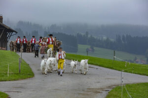 Appenzell, Appenzell Ausserrohden, Ostschweiz, Schweiz, Stein, Suisse, Switzerland, Viehschau