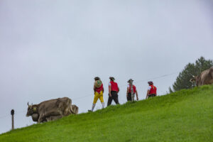 Appenzell, Appenzell Ausserrohden, Ostschweiz, Schweiz, Stein, Suisse, Switzerland, Viehschau