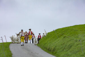 Appenzell, Appenzell Ausserrohden, Ostschweiz, Schweiz, Stein, Suisse, Switzerland, Viehschau