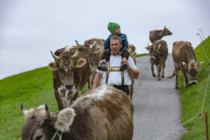 Appenzell, Appenzell Ausserrohden, Ostschweiz, Schweiz, Stein, Suisse, Switzerland, Viehschau