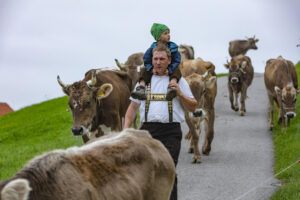 Appenzell, Appenzell Ausserrohden, Ostschweiz, Schweiz, Stein, Suisse, Switzerland, Viehschau