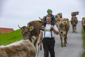 Appenzell, Appenzell Ausserrohden, Ostschweiz, Schweiz, Stein, Suisse, Switzerland, Viehschau