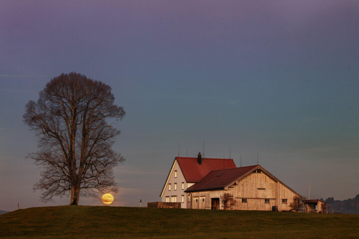 Abend, Autumn, Bauernhof, Baum, Fall, Herbst, Mond, Nacht, Ortsbild, Ostschweiz, Schweiz, Stein, Suisse, Switzerland, Vollmond