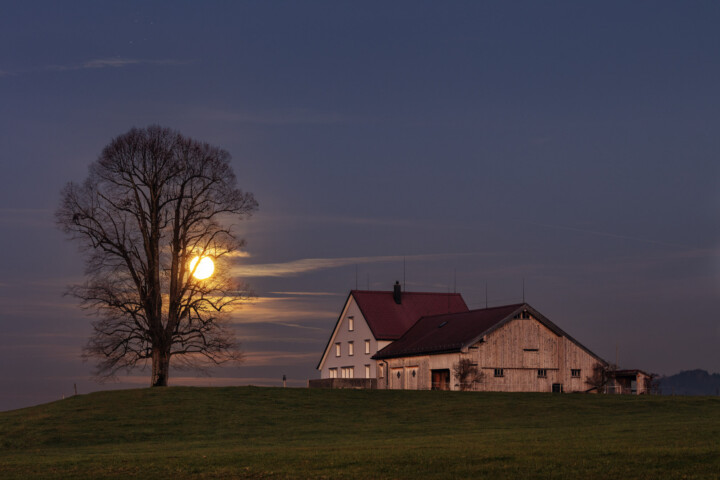 Abend, Autumn, Bauernhof, Baum, Fall, Herbst, Mond, Nacht, Ortsbild, Ostschweiz, Schweiz, Stein, Suisse, Switzerland, Vollmond