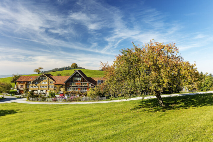 Appenzell, Appenzell Ausserrohden, Appenzellerhaus, Autumn, Bauerhaus, Bauernhof, Baum, Bäume, Fall, Herbst, Ortsbild, Ostschweiz, Schweiz, Streusiedlung, Suisse, Switzerland, Teufen, Tree, Trees, Wald