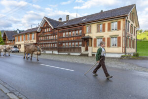 Appenzell, Appenzell Ausserrohden, Autumn, Fall, Herbst, Landwirtschaft, Schweiz, Sennen, Suisse, Switzerland, Tracht, Urnäsch, Viehschau, Wirtschaft, tradition