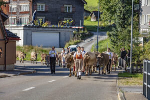Alpabfahrt, Alpfahrt, Appenzell, Appenzell Ausserrohden, Appenzeller Hinterland, Brauchtum, Kühe, Landwirtschaft, Ostschweiz, Schweiz, Sennen, Suisse, Switzerland, Tracht, Urnäsch, Wirtschaft, Öberefahre