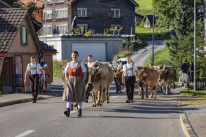 Alpabfahrt, Alpfahrt, Appenzell, Appenzell Ausserrohden, Appenzeller Hinterland, Brauchtum, Kühe, Landwirtschaft, Ostschweiz, Schweiz, Sennen, Suisse, Switzerland, Tracht, Urnäsch, Wirtschaft, Öberefahre